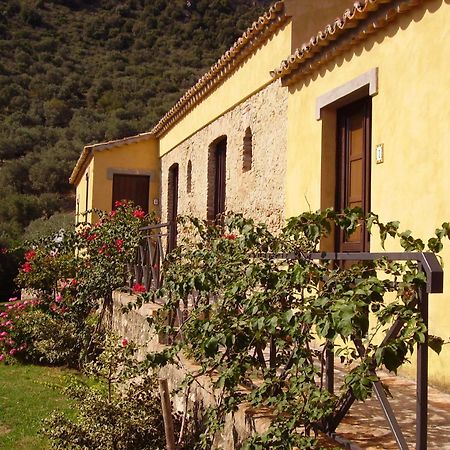 Azienda Agrituristica Biologica Il Querceto Santa Severina Exterior foto