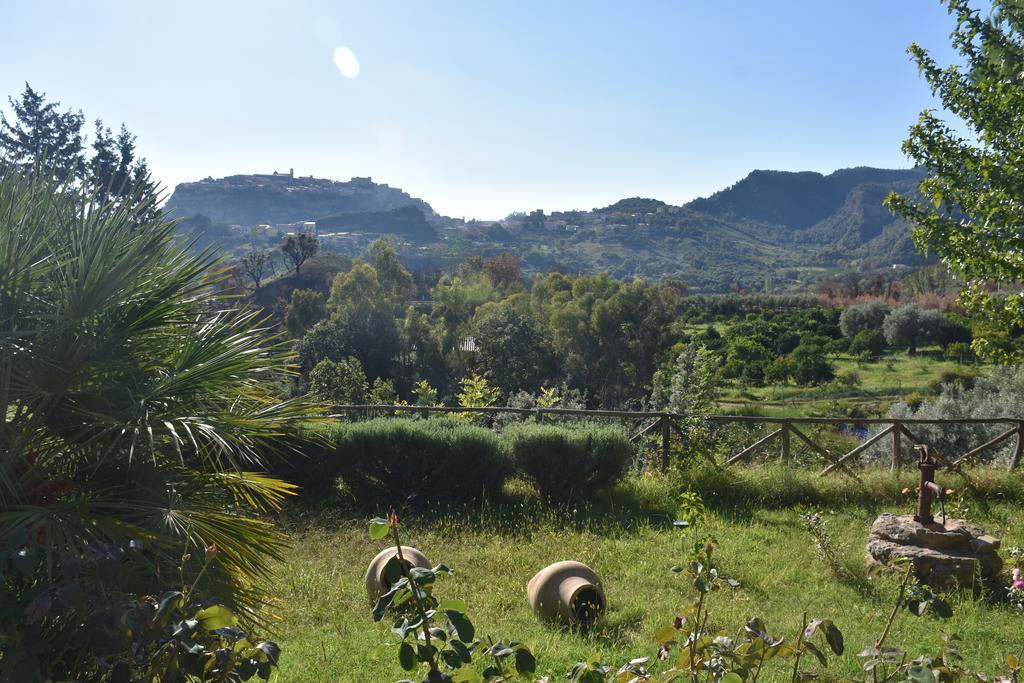 Azienda Agrituristica Biologica Il Querceto Santa Severina Exterior foto